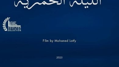 فيلم «ليلة السيدة الخمرية» لتامر صلاح الدين يُقبل رسميا في مهرجان Lift-Off Global Network السينمائي الدولي