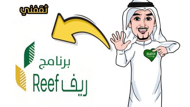 كم مبلغ الدعم بعد صرف الدفعة الجديدة من برنامج ريف 2025؟