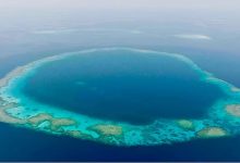 محميتا "الثقوب الزرقاء" و"رأس حاطبة" تؤكدان جهود السعودية في حماية البيئة البحرية