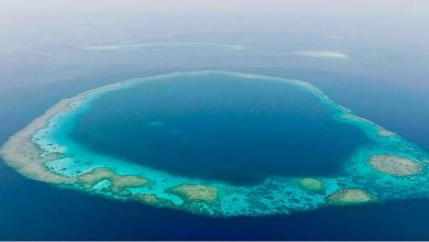 محميتا "الثقوب الزرقاء" و"رأس حاطبة" تؤكدان جهود السعودية في حماية البيئة البحرية