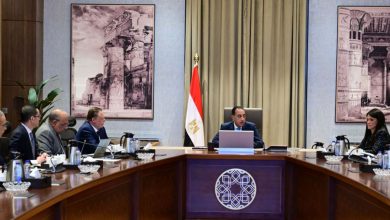 مدبولي يُشدد على دور الشركات العالمية والشراكة لتنويع مصادر الطاقة والوصول لـ 42% متجددة