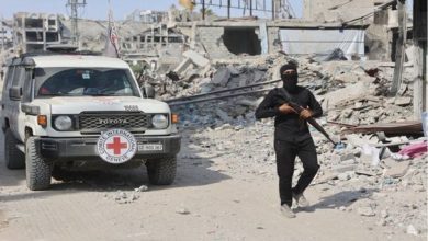 معاريف: التحقق من جثث 3 أسرى سلمتهم حماس