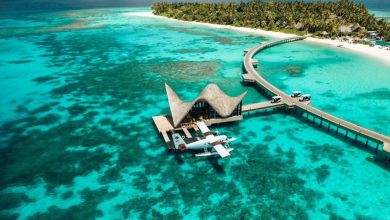 منتجع جوالي المالديف Joali Maldives: خيارٌ استثنائي يجمع بين الاسترخاء المطلق والترفيه العائلي