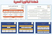 نظام البكالوريا المصرية 2025-2026 كل ما تحتاج معرفته عن النظام الجديد