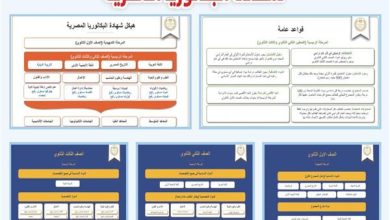 نظام البكالوريا المصرية 2025-2026 كل ما تحتاج معرفته عن النظام الجديد