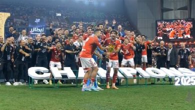 هاني: الشناوي قائد محترم.. وأصر ان ارفع الكاس مع تريزيجية