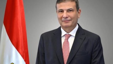 وزير الزراعة: زيادة الإنتاجية نتيجة التوسع الأفقي في زراعة الأراضي أدت لانخفاض الأسعار