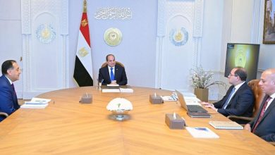 وزير المالية: القطاع الخاص أبدى ثقة كبيرة في إمكانات الاقتصاد المصري ومناخ الاستثمار