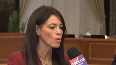 وزيرة التخطيط: اجتماعات اللجنة الوزارية انطلاقة جديدة للتعاون مع لبنان في الطاقة وإعادة الإعمار