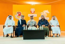 574 جواداً تشارك في النسخة السادسة لبطولة الظفرة لجمال الخيل العربية