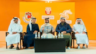 574 جواداً تشارك في النسخة السادسة لبطولة الظفرة لجمال الخيل العربية