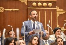 النائب أحمد الحمامصي