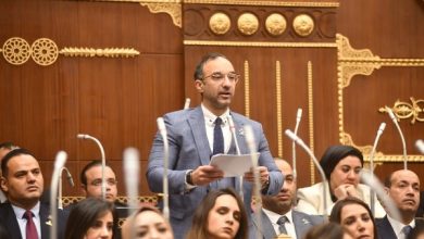 النائب أحمد الحمامصي