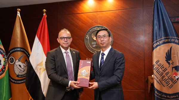 الرقابة المالية