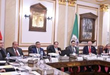 جانب من الفاعليات