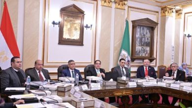 جانب من الفاعليات