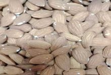 أبرز الأطعمة الغنية بفيتامين «هـ» لصحة البشرة والجهاز المناعي