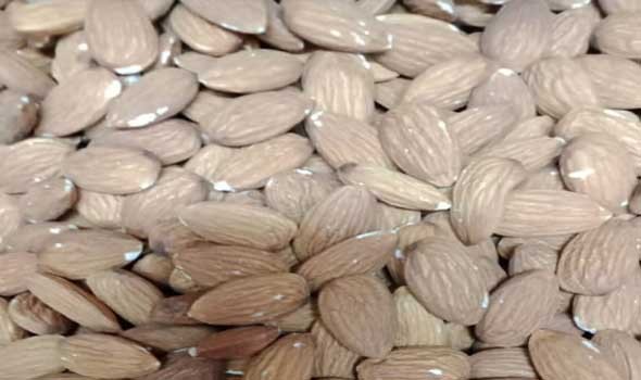 أبرز الأطعمة الغنية بفيتامين «هـ» لصحة البشرة والجهاز المناعي