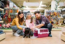 أبوظبي تعتمد تعديلات رقابية جديدة تتيح للفنادق والمطاعم استقبال الحيوانات الأليفة