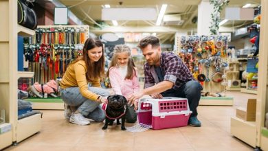 أبوظبي تعتمد تعديلات رقابية جديدة تتيح للفنادق والمطاعم استقبال الحيوانات الأليفة