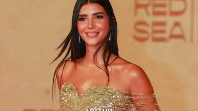 أجمل تسريحات شعر منسدل من النجمات في مهرجان البحر الأحمر السينمائي 2025