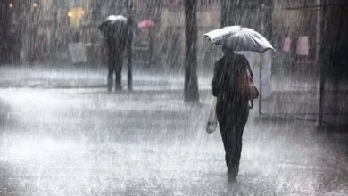 أجواء باردة وفرصة لهطول الأمطار في هذه...