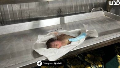 أطباء بلا حدود: أطفال غزة يموتون بردا