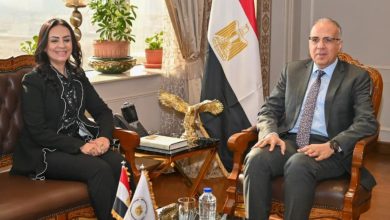 إطلاق مبادرة لتمكين المرأة في مجال تدوير ورد النيل مارس المقبل