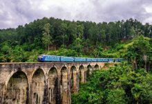 إليسا تخطف الأنظار بإطلالات تجمع بين الأناقة والجرأة