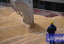 ارتفاع واردات المغرب للقمح الروسي