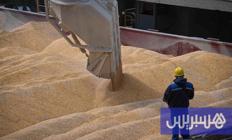 ارتفاع واردات المغرب للقمح الروسي