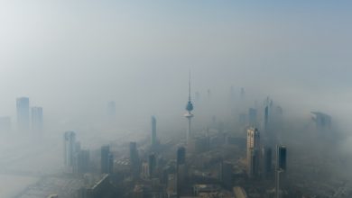 «الأرصاد» تحذر: ضباب يقلل الرؤية مساء اليوم وصباح الأحد