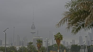 «الأرصاد»: طقس رطب وضباب في الساعات المتأخرة من الليل وساعات الصباح الأولى من الغد