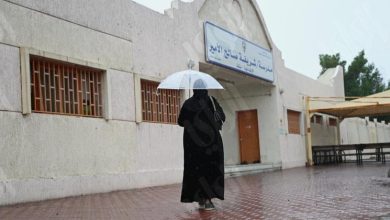 «الأرصاد»: طقس معتدل نهارا وبارد ليلا.. مع أمطار رعدية وضباب