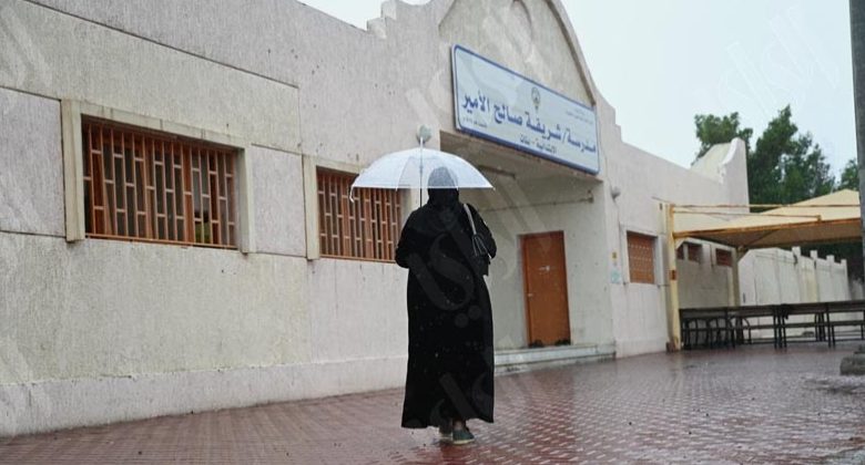 «الأرصاد»: طقس معتدل نهارا وبارد ليلا.. مع أمطار رعدية وضباب