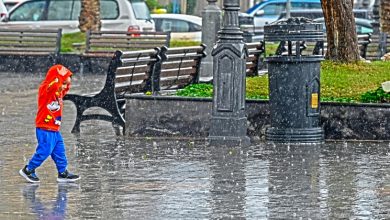 «الأرصاد»: فرص لأمطار اليوم وغدا