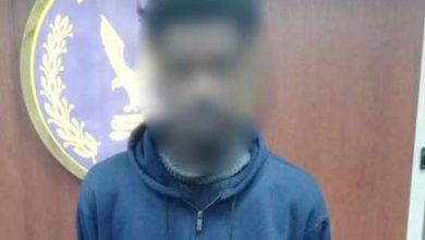 الأمن يقبض على متهم بالتحرش اللفظي بسيدة أجنبية في القاهرة