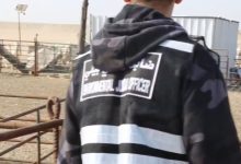 «البيئة»: رصد 5 مخالفات في المنطقة الجنوبية قرب «النويصيب»