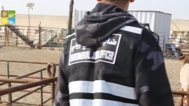 «البيئة»: رصد 5 مخالفات في المنطقة الجنوبية قرب «النويصيب»