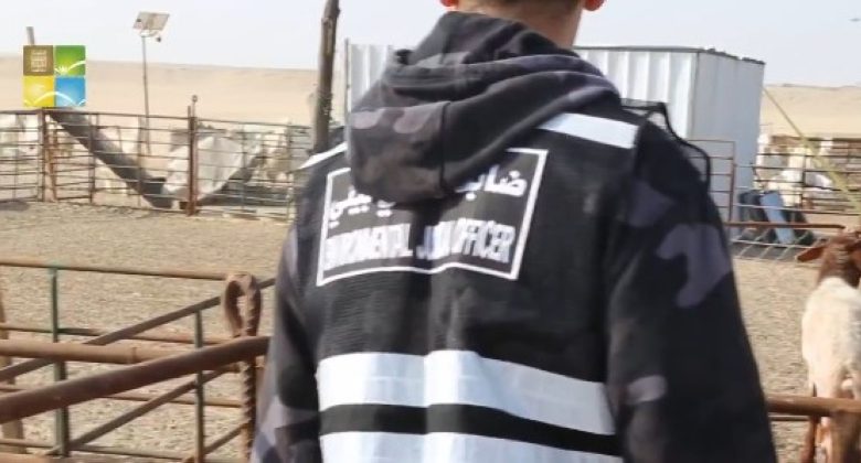 «البيئة»: رصد 5 مخالفات في المنطقة الجنوبية قرب «النويصيب»