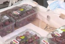 التصديري للصناعات الهندسية: صادراتنا تقفز 13% خلال 10 أشهر.. وطموحنا لا يتوقف عند هذا الحد