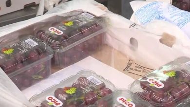 التصديري للصناعات الهندسية: صادراتنا تقفز 13% خلال 10 أشهر.. وطموحنا لا يتوقف عند هذا الحد