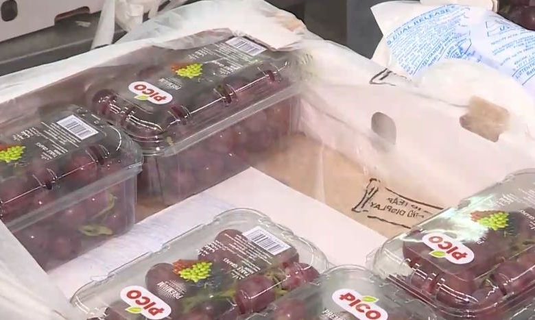 التصديري للصناعات الهندسية: صادراتنا تقفز 13% خلال 10 أشهر.. وطموحنا لا يتوقف عند هذا الحد