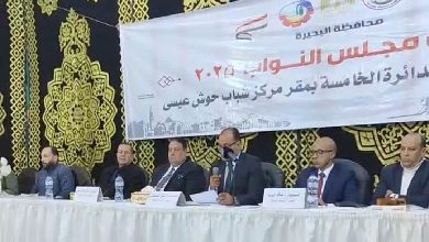 الحصر العددي لدائرة حوش عيسى يظهر تقدم عصام الصافي وممدوح جاب الله بمحافظة البحيرة