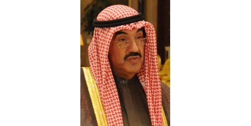 الحكومة تبحث الخصخصة في نوفمبر