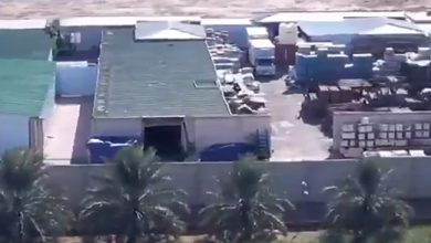 «الزراعة»: حملات تفتيشية على الحيازات الزراعية غير المستغلة بالصليبية