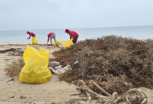 «الغوص» يرفع 4 أطنان من المخلفات البلاستيكية والأخشاب وشباك الصيد من ساحل الزور