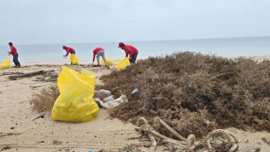 «الغوص» يرفع 4 أطنان من المخلفات البلاستيكية والأخشاب وشباك الصيد من ساحل الزور