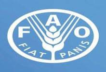 الفاو تؤكد أن تراجع أسعار السلع الغذائية الأساسية عالمياً مع ارتفاع محدود للحبوب