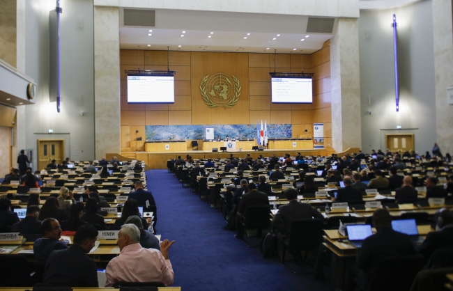 الكويت: دعم جهود القضاء على الألغام المضادة للأفراد